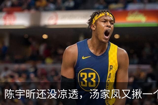 陈宇昕还没凉透,汤家凤又揪一个“精日”人员:竟然还是公司老板
